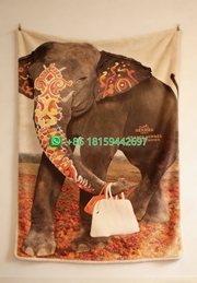 Hermes Throw Blankets